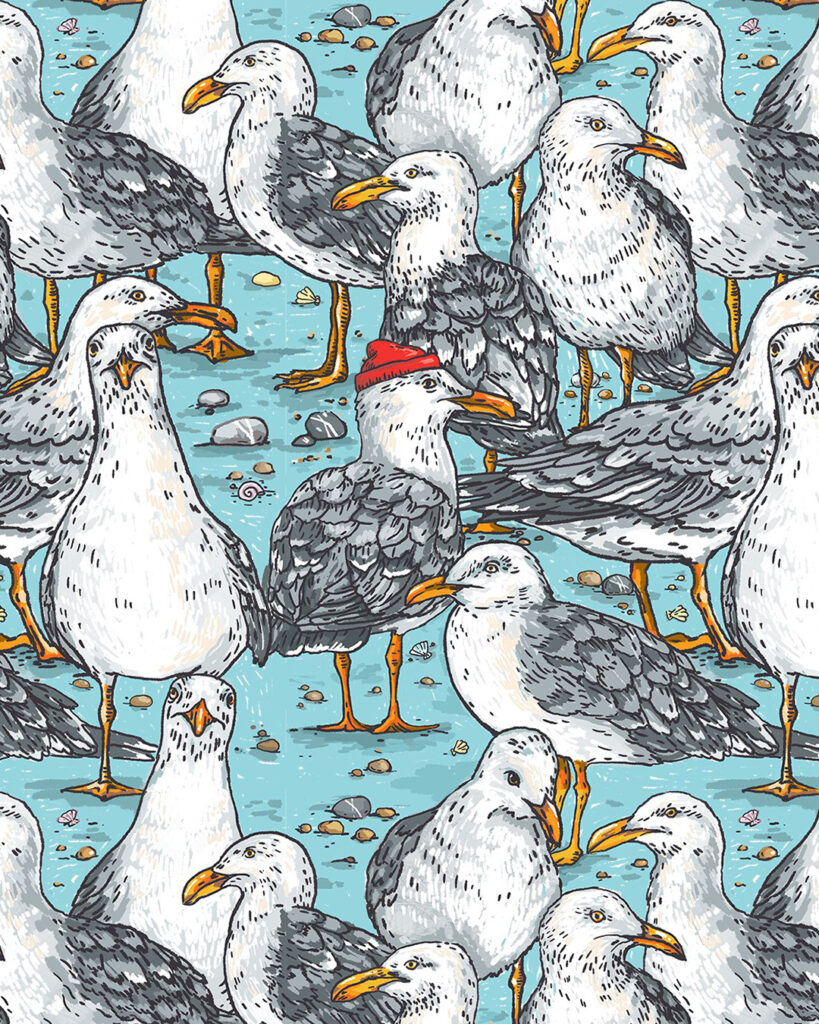 Seagull illustration