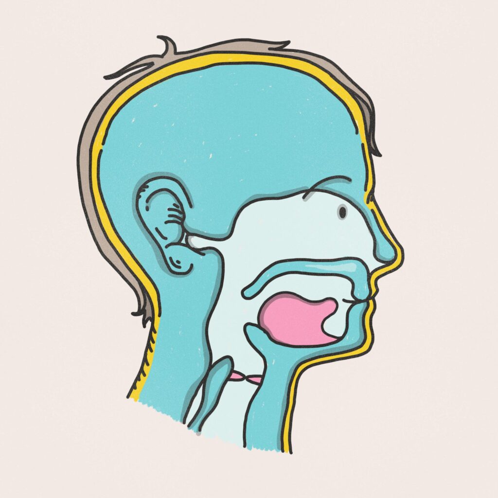 Head illustration