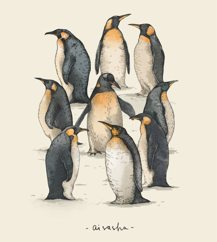 Penguin illustrations