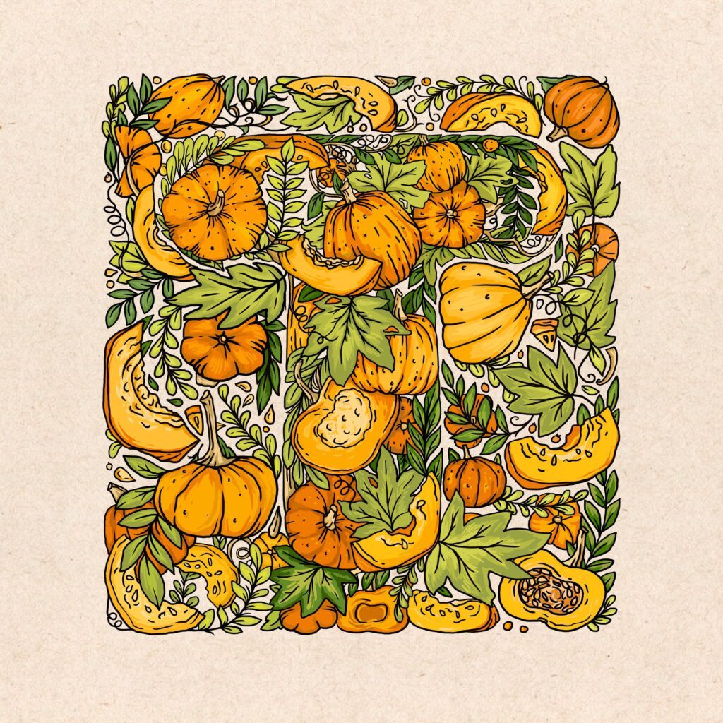 Pumpkin illustration