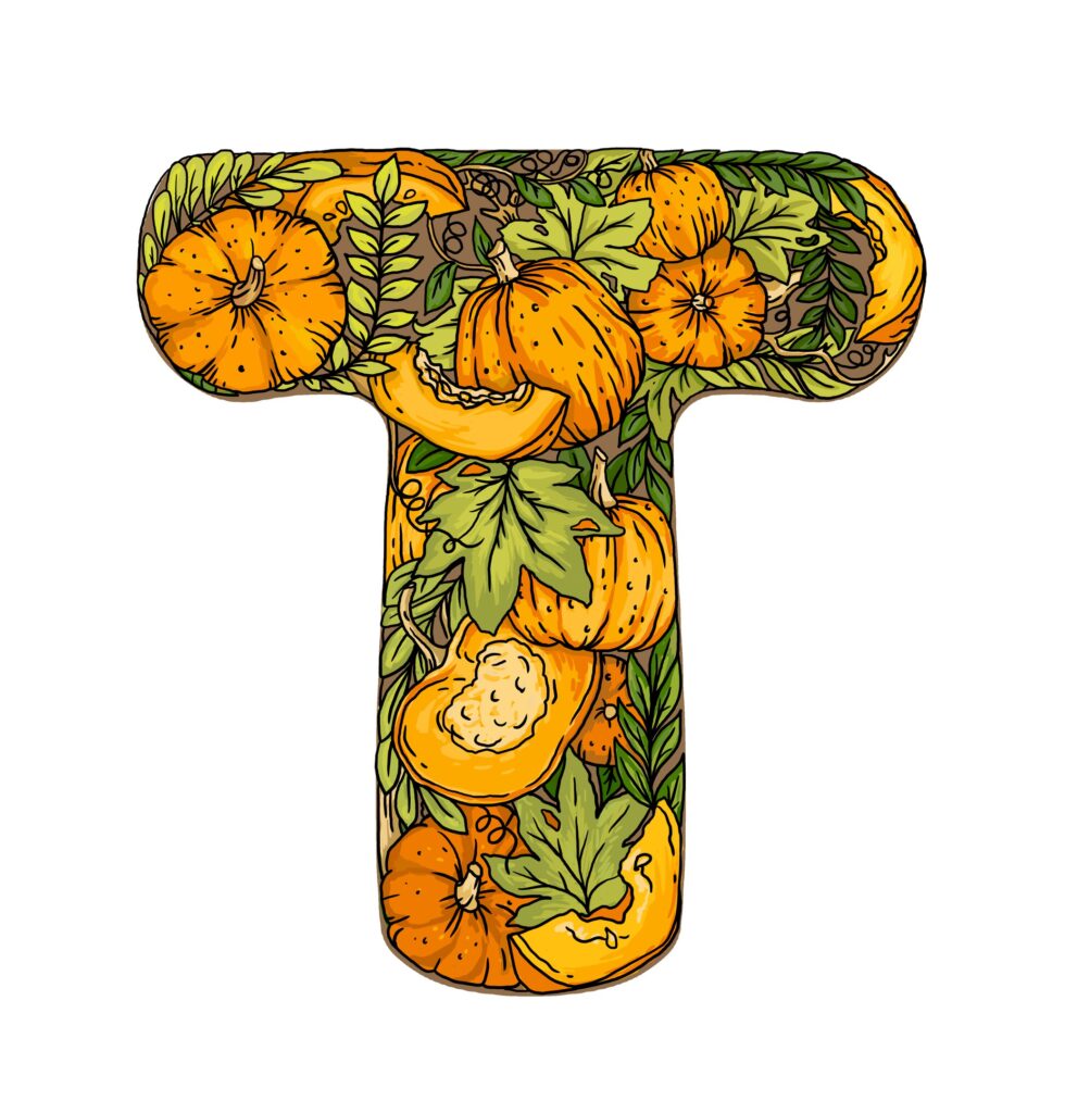Pumpkin T illustration